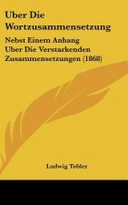 Uber Die Wortzusammensetzung: Nebst Einem Anhang Uber Die Verstarkenden Zusammensetzungen (1868)