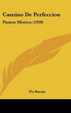 Camino de Perfeccion: Pasion Mistica (1920)