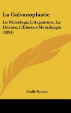 La Galvanoplastie: Le Nickelage, L'Argenture, La Dorure, L'Electro-Metallurgie (1894)
