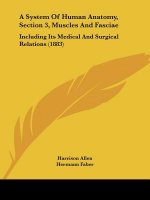 A System Of Human Anatomy, Section 3, Muscles And Fasciae: Including Its Medical And Surgical Relations (1883)