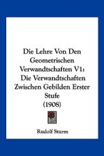 Die Lehre Von Den Geometrischen Verwandtschaften V1: Die Verwandtschaften Zwischen Gebilden Erster Stufe (1908)