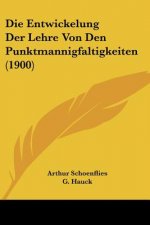 Die Entwickelung Der Lehre Von Den Punktmannigfaltigkeiten (1900)