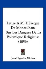 Lettre A M. L'Eveque De Montauban: Sur Les Dangers De La Polemique Religieuse (1856)