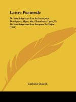 Lettre Pastorale: De Nos Seigneurs Les Archeveques D'avignon, Alger, Aix, Chambery, Lyon, Et De Nos Seigneurs Les Eveques De Dijon (1876
