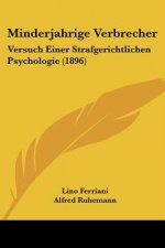 Minderjahrige Verbrecher: Versuch Einer Strafgerichtlichen Psychologie (1896)