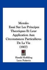 Morale: Essai Sur Les Principes Theoriques Et Leur Application Aux Circonstances Particulieres de La Vie (1907)
