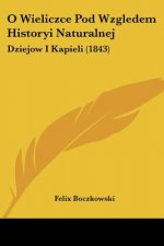 O Wieliczce Pod Wzgledem Historyi Naturalnej: Dziejow I Kapieli (1843)