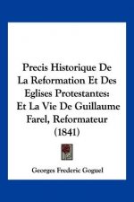 Precis Historique De La Reformation Et Des Eglises Protestantes: Et La Vie De Guillaume Farel, Reformateur (1841)