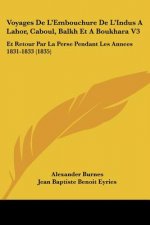 Voyages De L'Embouchure De L'Indus A Lahor, Caboul, Balkh Et A Boukhara V3: Et Retour Par La Perse Pendant Les Annees 1831-1833 (1835)