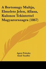 A Bortonugy Multja, Elmelete Jelen, Allasa, Kulonos Tekintettel Magyarorszagra (1867)