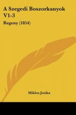 A Szegedi Boszorkanyok V1-3: Regeny (1854)