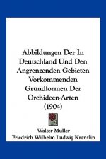 Abbildungen Der in Deutschland Und Den Angrenzenden Gebieten Vorkommenden Grundformen Der Orchideen-Arten (1904)
