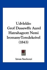 Udvlelde: Grof Dessewffy Aurel Hatrahagyott Nemi Iromany-Toredekeivel (1843)