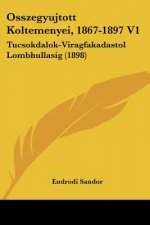 Osszegyujtott Koltemenyei, 1867-1897 V1: Tucsokdalok-Viragfakadastol Lombhullasig (1898)