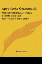 Agyptische Grammatik: Mit Schrifttafel, Litteratur, Lesestucken Und Worterverzeichnis (1902)