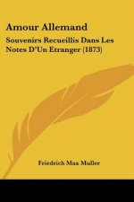 Amour Allemand: Souvenirs Recueillis Dans Les Notes D'Un Etranger (1873)