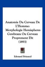 Anatomie Du Cerveau De L'Homme: Morphologie Hemispheres Cerebraux Ou Cerveau Proprement Dit (1893)