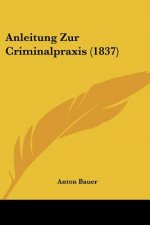 Anleitung Zur Criminalpraxis (1837)