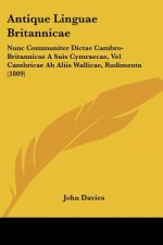 Antique Linguae Britannicae: Nunc Communiter Dictae Cambro-Britannicae A Suis Cymraecae, Vel Cambricae Ab Aliis Wallicae, Rudimenta (1809)