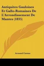 Antiquites Gauloises Et Gallo-Romaines De L'Arrondissement De Mantes (1835)