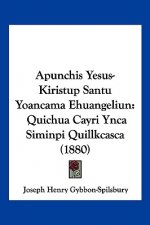 Apunchis Yesus-Kiristup Santu Yoancama Ehuangeliun: Quichua Cayri Ynca Siminpi Quillkcasca (1880)