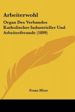 Arbeiterwohl: Organ Des Verbandes Katholischer Industrieller Und Arbeiterfreunde (1899)