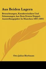 Aus Beiden Lagern: Betrachtungen, Karakteristiken Und Stimmungen Aus Dem Ersten Doppel-Ausstellungsjahre In Munchen 1893 (1893)