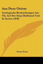 Aus Dem Orient: Geologische Beobachtungen Am Nil, Auf Der Sinai-Halbinsel Und In Syrien (1878)