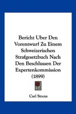 Bericht Uber Den Vorentwurf Zu Einem Schweizerischen Strafgesetzbuch Nach Den Beschlussen Der Expertenkommission (1899)