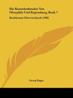 Die Kunstdenkmaler Von Oberpfalz Und Regensburg, Book 7: Bezirksamt Oberviechtach (1906)