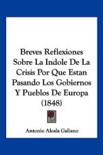 Breves Reflexiones Sobre La Indole De La Crisis Por Que Estan Pasando Los Gobiernos Y Pueblos De Europa (1848)