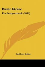 Bunte Steine: Ein Festgeschenk (1876)