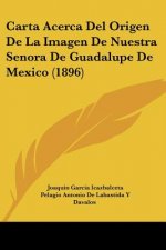 Carta Acerca Del Origen De La Imagen De Nuestra Senora De Guadalupe De Mexico (1896)