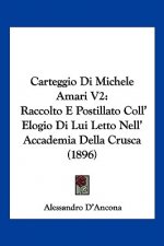 Carteggio Di Michele Amari V2: Raccolto E Postillato Coll' Elogio Di Lui Letto Nell' Accademia Della Crusca (1896)