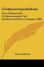 Civilprozesspraktikum: Zum Gebrauch Bei Civilprozessualen Und Konkursrechtlichen Uebungen (1888)