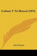 Cofiant Y Tri Brawd (1876)