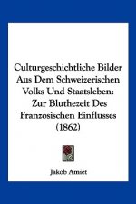 Culturgeschichtliche Bilder Aus Dem Schweizerischen Volks Und Staatsleben: Zur Bluthezeit Des Franzosischen Einflusses (1862)