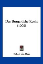 Das Burgerliche Recht (1905)