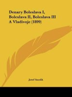 Denary Boleslava I, Boleslava II, Boleslava III A Vladivoje (1899)