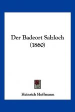 Der Badeort Salzloch (1860)