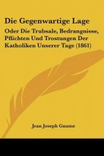 Die Gegenwartige Lage: Oder Die Trubsale, Bedrangnisse, Pflichten Und Trostungen Der Katholiken Unserer Tage (1861)