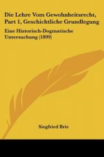 Die Lehre Vom Gewohnheitsrecht, Part 1, Geschichtliche Grundlegung: Eine Historisch-Dogmatische Untersuchung (1899)