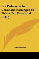 Die Padagogischen Grundanschauungen Bei Fichte Und Pestalozzi (1908)