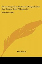 Elementargrammatik Nebst Ubungsstucken Zur Gemein Oder Weltsprache: Pasilingua (1885)
