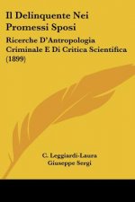Il Delinquente Nei Promessi Sposi: Ricerche D'Antropologia Criminale E Di Critica Scientifica (1899)