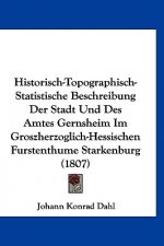 Historisch-Topographisch-Statistische Beschreibung Der Stadt Und Des Amtes Gernsheim Im Groszherzoglich-Hessischen Furstenthume Starkenburg (1807)