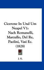 Cicerone in Und Um Neapel V1: Nach Romanelli, Marzullo, del Re, Paolini, Vasi EC. (1828)