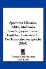 Spachtova Mluvnice Polska; Muluvnice Ruskeho Jazyka; Kurzer, Fasslicher Unterricht In Der Franzosischen Sprache (1865)