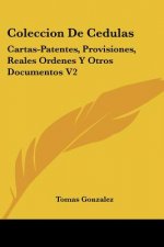 Coleccion De Cedulas: Cartas-Patentes, Provisiones, Reales Ordenes Y Otros Documentos V2: Condado Y Senorio De Vizcaya (1829)