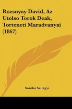 Rozsnyay David, Az Utolso Torok Deak, Torteneti Maradvanyai (1867)